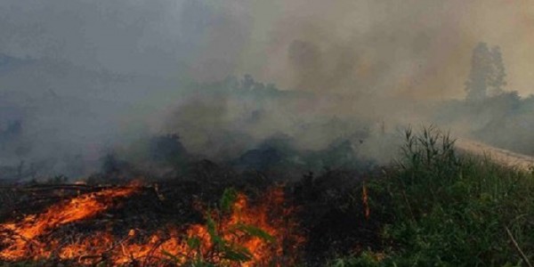 Komentar Tokoh Melayu Soal Karhutla dan Kabut Asap Riau