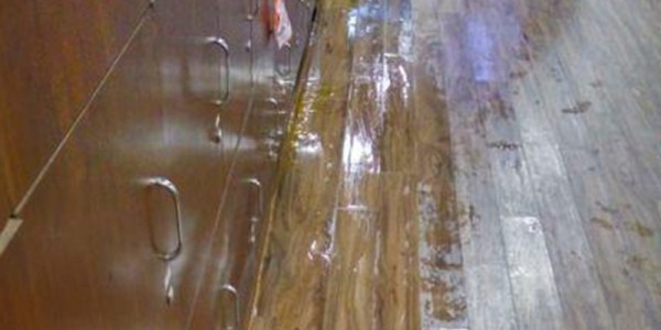 Sekjen DPR RI Nggak Becus Urus Toilet, Bagaimana Urus Putri Puan Maharani