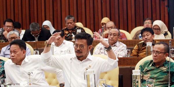Mentan Syahrul Yasin Limpo