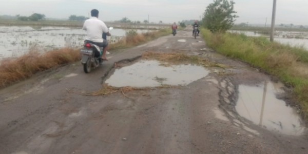 Warga Keluhkan Jalan Provinsi Seperti Kubangan Kerbau