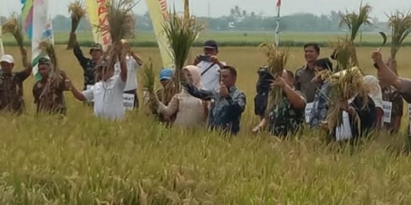 Bupati Berharap Kabupaten Bekasi Tetap Jadi Lumbung Padi Nasional