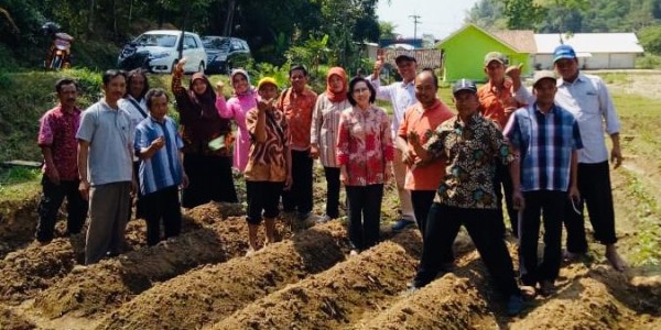 Tanaman Yakon, Guru Besar Unesa : Cocok Dikonsumsi untuk Pengidap Penyakit Diabetes