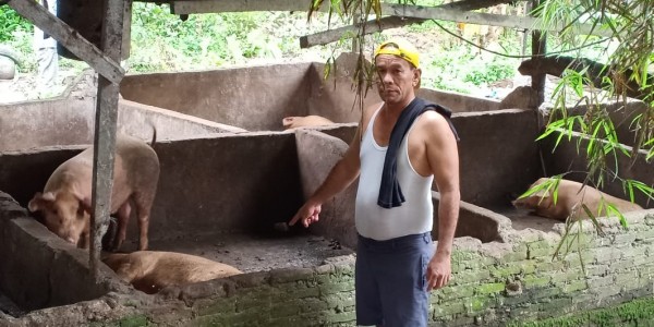 Peternak Babi Warga Damar Sari Minta DPRD Panggil Kadis Pertanian