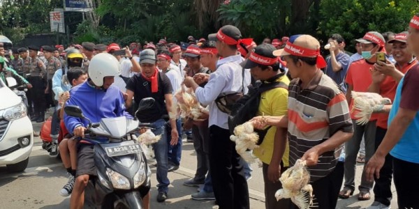 Desak Revisi UU Peternakan, Peternak Bagi-bagi Ayam di Depan Kantor Kementan