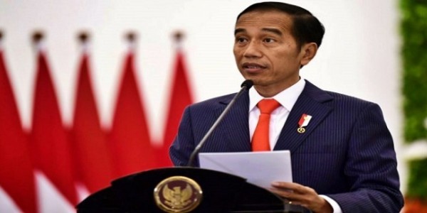 Jokowi Jawab Kritikan Susi Ihwal Ekspor Benih Lobster
