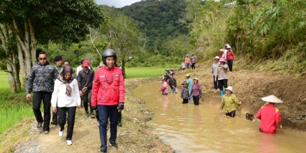 Jokowi Ingin Ada Konsep Visioner Dalam Pemindahan Ibu Kota