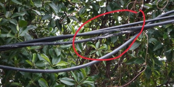 Kabel Listrik Terkelupas Mengancam Warga Babelan