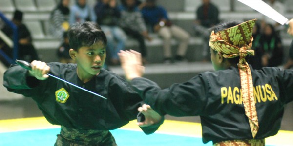 Pendekar Cilik Pagar Nusa