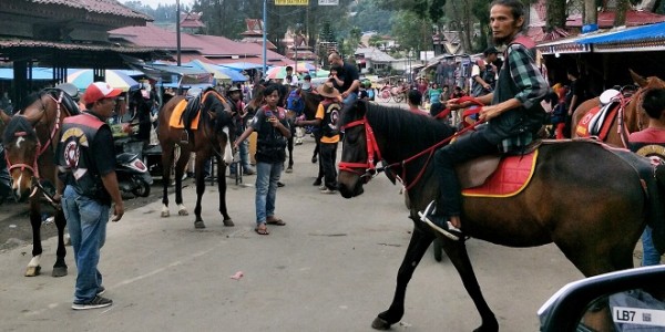 Berastagi Karo Kuda dan Delman