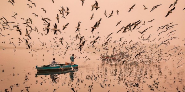 2 Mobile Photographer Asal Indonesia Menangkan Kompetisi Fotografi Global “Shot on realme”