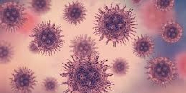 Apa itu Virus Corona dan Bagaimana Agar Tak Terkena, Ini Kata Dokter