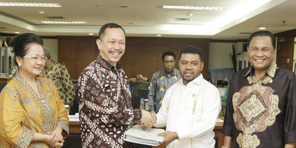 Pansus Papua DPD Undang Komnas HAM Bahas Isu Di Papua