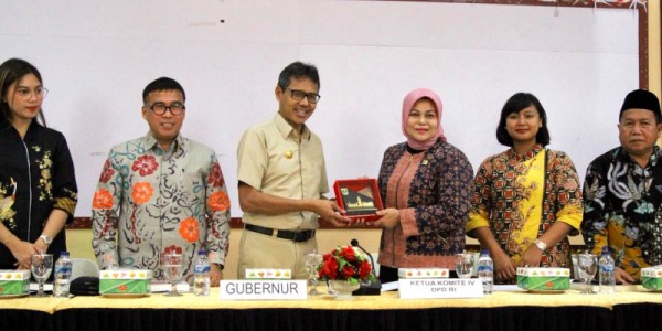 Komite IV DPD RI Soroti Kondisi Investasi Daerah