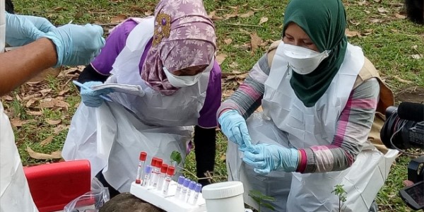 Cegah Virus Corona, Kementan Imbau Masyarakat Terus Tingkatkan Kewaspadaan 