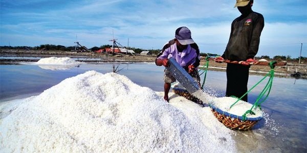 PBNU Kritik Rencana Pemerintah Impor Garam Besar-besaran