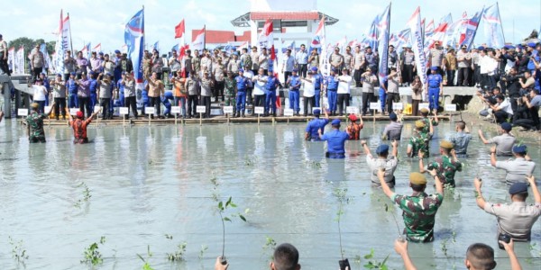 Panglima TNI dan Kapolri Tanam 20.000 Mangrove Cegah Abrasi