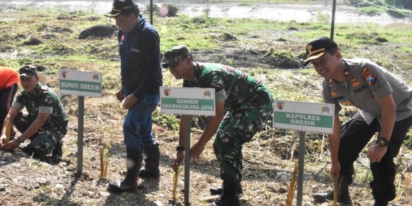 Antisipasi Longsor, TNI AD Tanam Ribuan Bibit Rumput Vetiver.