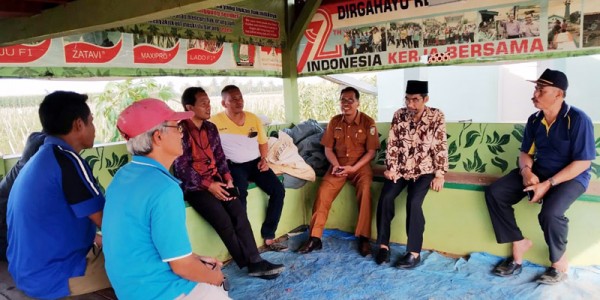 Anggota DPD Abdul Hakim Berdialog Dengan Petani Cabai Pringsewu Lampung