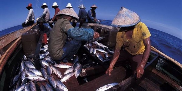 Di Tengah Nasib Sulit Nelayan, Imbauan Presiden Perbanyak Makan Ikan Terkesan Ambigu