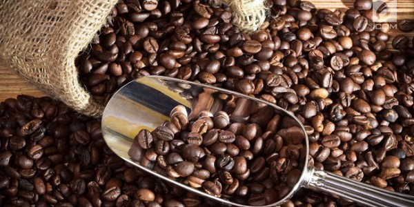 Kolaborasi Kemenkop Jaga Produksi Dan Pemasaran Kopi Di Indonesia