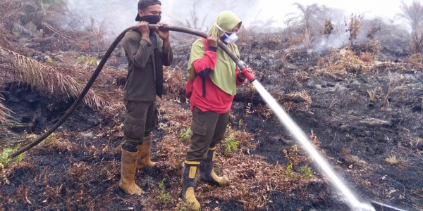 Meski Dilanda Covid19, KLHK Tetap Fokus Atasi Karhutla