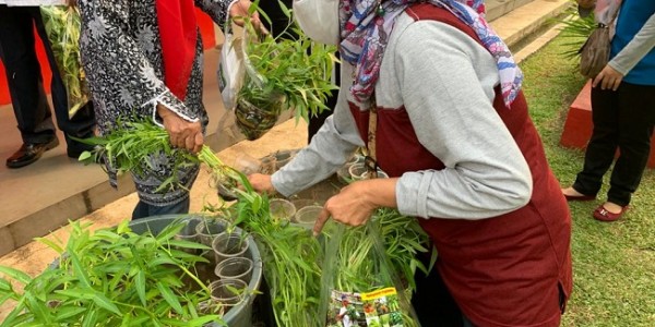 Nutrisi Sayur dan Ikan Segar Bisa Cegah Penularan Corona