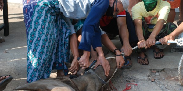 Warga Kampung Ceger Jaka Setia Potong Hewan Qurban