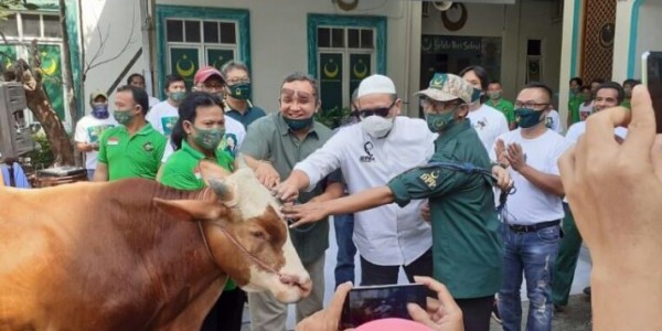 Ketua DPD RI Serahkan dan Saksikan Pemotongan Hewan Kurban di DPP PBB
