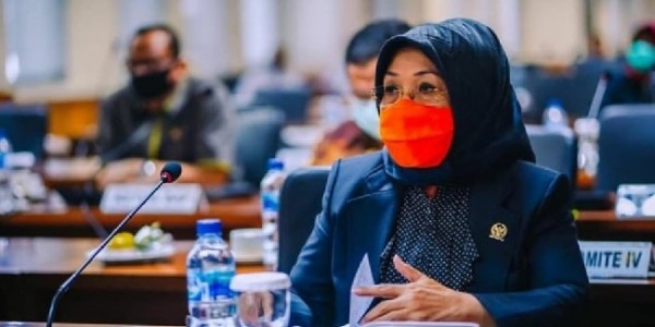 Ketua Komite III DPD RI: Syeikh Ali Jaber Selalu Bawa Pesan Perdamaian