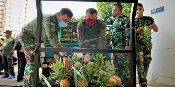 Koperasi Sumbang 1,4 Ton Nanas Untuk Tim Medis Dan Relawan Covid-19 Di Wisma Atlet