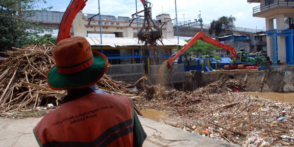 Sampah Pohon Di Pintu Air Manggarai Dikeruk