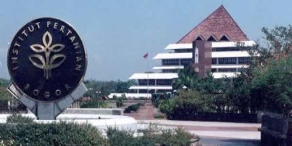 IPB Buat Formula Anti Penuaan Dini Dengan Batang Nyirih