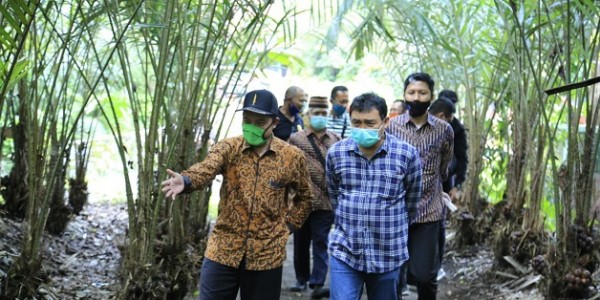 LPDB Perkuat Permodalan Petani Salak Madu di Sleman Lewat Koperasi
