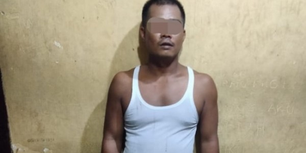 Kerbau Dijual Uang Tak Dibayar, Suprayetno Diciduk Polsek Perbaungan