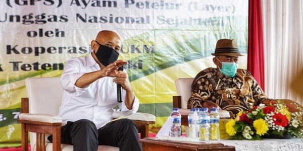 Dikuasai Perusahaan Asing, Koperasi Unggas Didukung Masuk ke Bisnis Pembibitan Ayam 