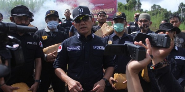 Bareskrim Polri Musnahkan Lima Hektar Ladang Ganja di Mandailing Natal