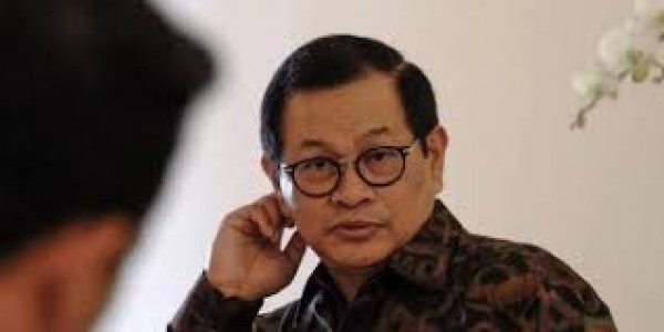 Istana: Pemerintah Butuh Kritik yang Pedas dan Terbuka