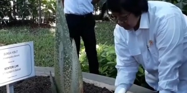 Menteri LHK Sebut Tanam Pohon Bersama Bangun Asah Kepekaan Rimbawan