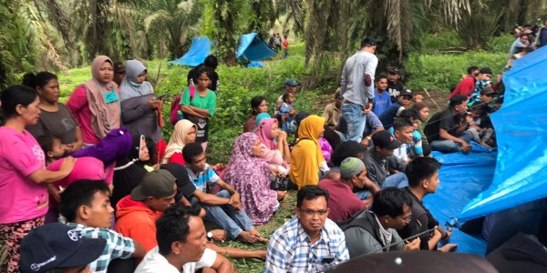 Istana Minta Panglima TNI dan Kapolri Lindungi Petani Sawit Gondai