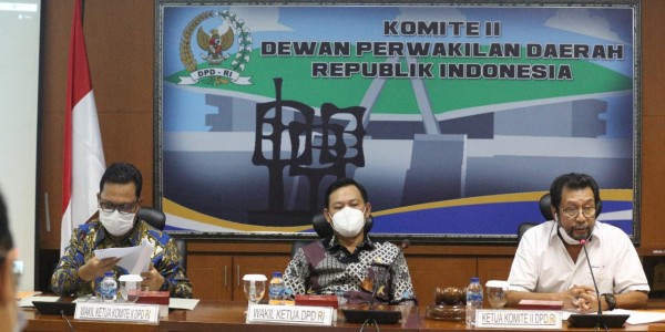 Bersama Mendag, DPD RI Bahas Pemulihan Ekonomi Nasional