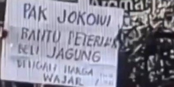 Peternak Menjerit, Presiden Jokowi Jangan Diam Saja!