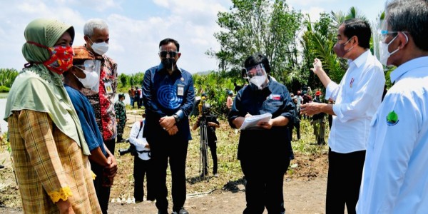 Bersama Presiden,  Menteri Siti Tanam Mangrove Di Cilacap