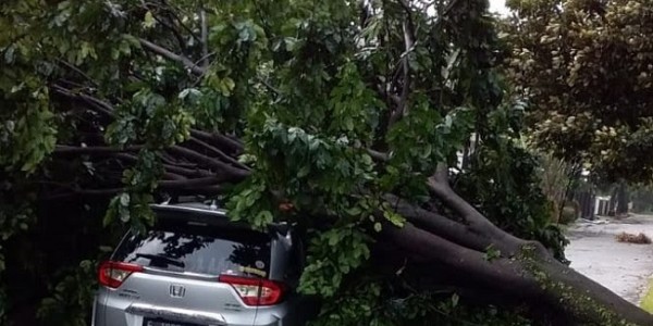 Cuaca Kota Bogor Ekstrem, Bima Arya Imbau Warganya Batasi Aktivitas di Luar Rumah 