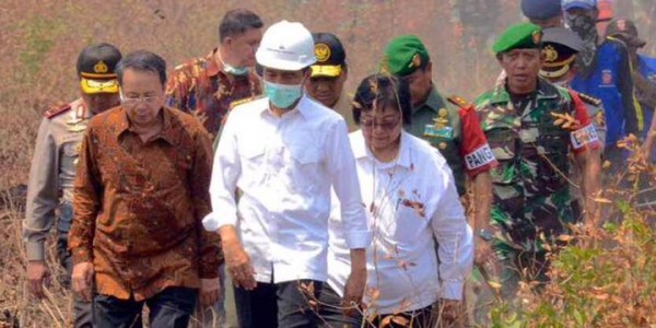 Menteri Siti Sebut Komitmen Indonesia Soal Pengendalian Perubahan Iklim Dunia Diakui