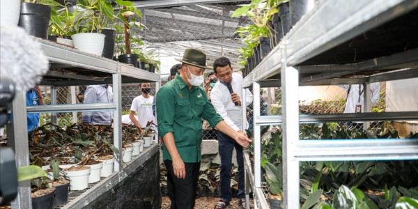 Potensi Pasar Tanaman Hias Capai Rp3.000 Triliun, Indonesia Baru Raup Untung 0,01 Persen