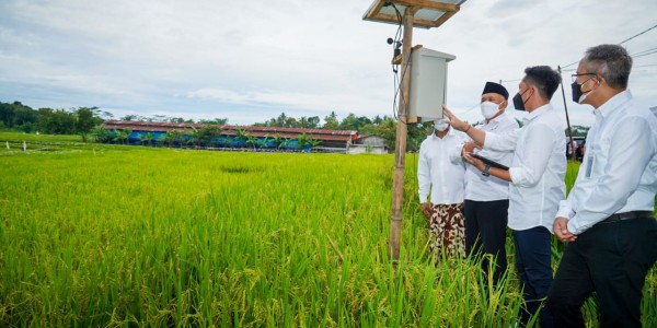 Koperasi Gardu Tani Al Barokah Didorong Kelola 1000 Hektar Lahan Beras Organik