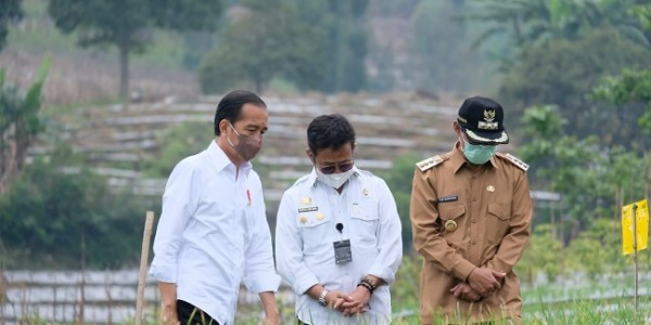 Lewat Food Estate di Wilayah Tawon Diharapkan Beri Manfaat Lebih Bagi Petani