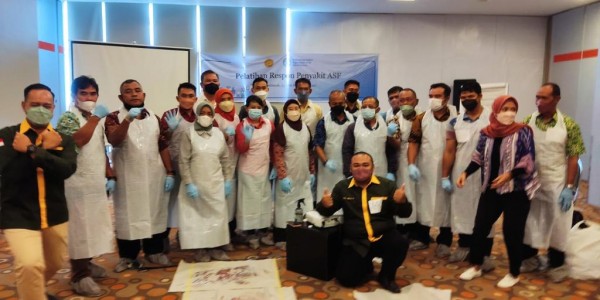 Ada Kasus Kematian Babi di Kalbar, Kementan Perkuat Kapasitas Respons Petugas