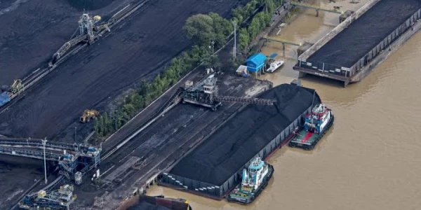 DPR Anggap Usulan Penghapusan DMO Justru Bikin Ruwet