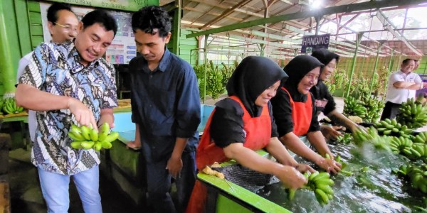 LPDB-KUMKM Dorong Koperasi Sektor Riil Jadi Aggregator Bagi Anggotanya